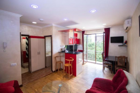 Comfortable apartment